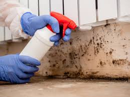 Best Forensic Mold Investigation  in Elk Mound, WI